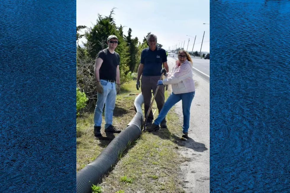 Volunteers at the Margate Terrapin Rescue Project (Photo Credit: Margate Terrapin Rescue Project)