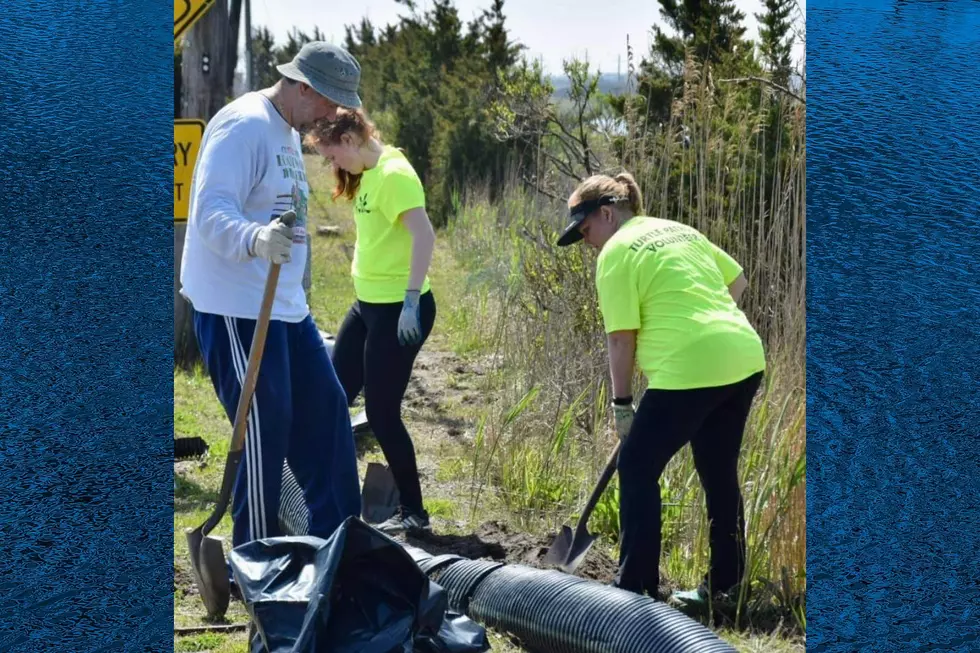 Volunteers at the Margate Terrapin Rescue Project (Photo Credit: Margate Terrapin Rescue Project)