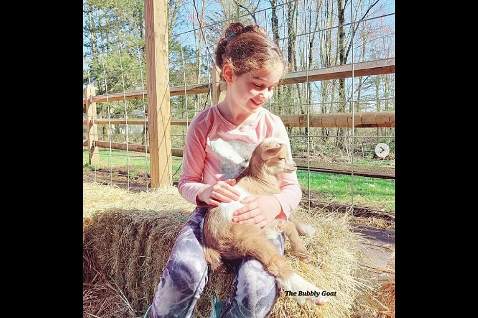 Where to snuggle adorable baby goats in NJ