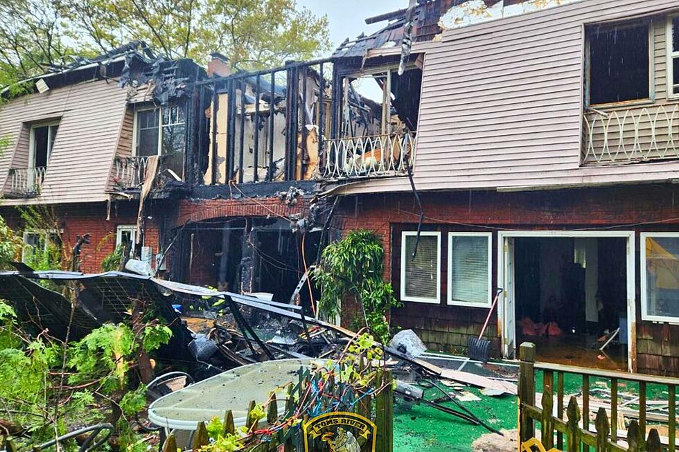 Toms River, NJ, 3-alarm House Fire Kills Pets, Including 20 Birds