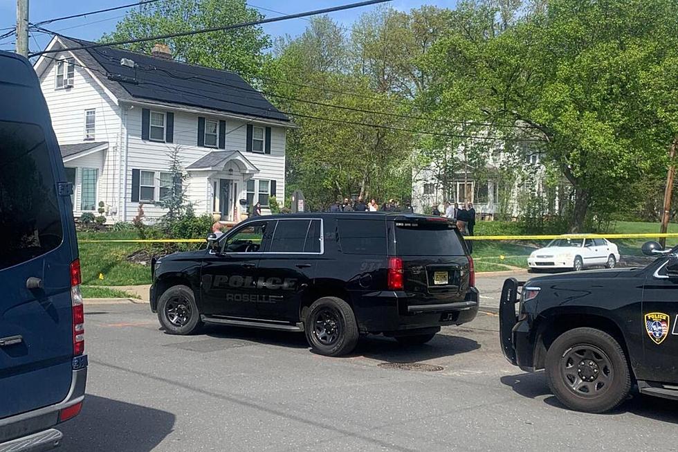 Mother, daughter found dead inside Roselle, NJ home, reports say