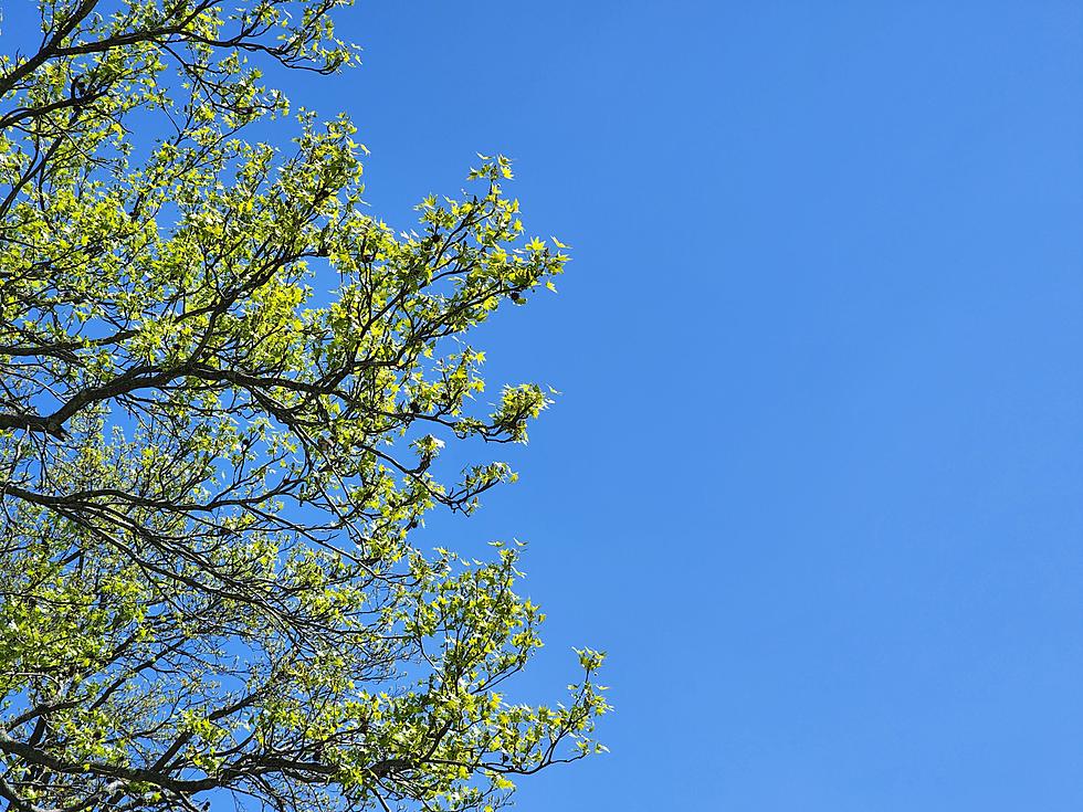 Thursday NJ weather: More sunshine, calmer winds, April-ish temperatures