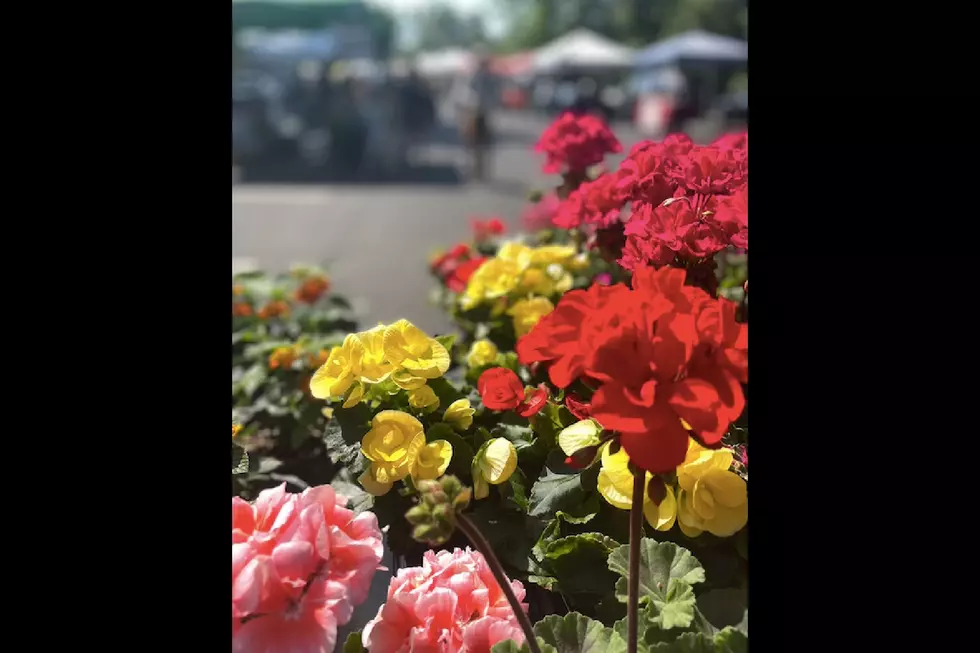 West Windsor Farmers' Market