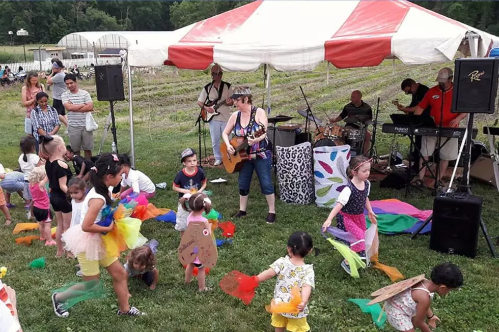 Firefly Festival (Terhune Orchards)
