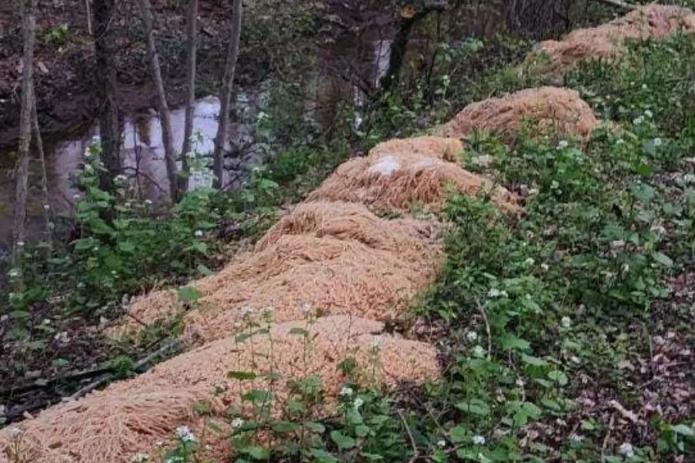 NJ pasta dump goes viral (Nina Jochnowitz for Old Bridge via Facebook)