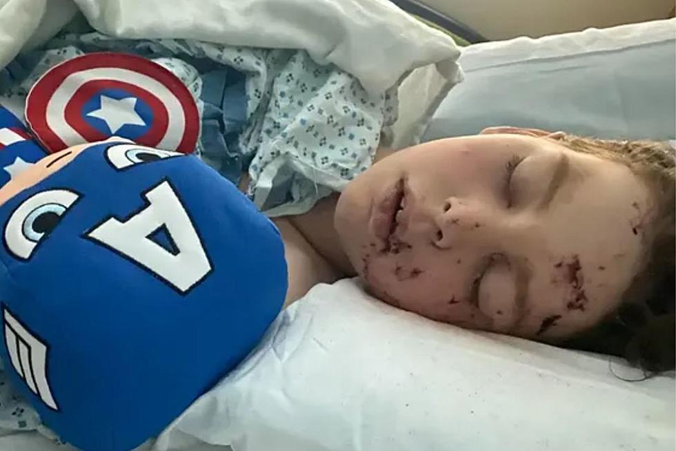 Driver runs away after boy gets smashed into windshield in Seasid