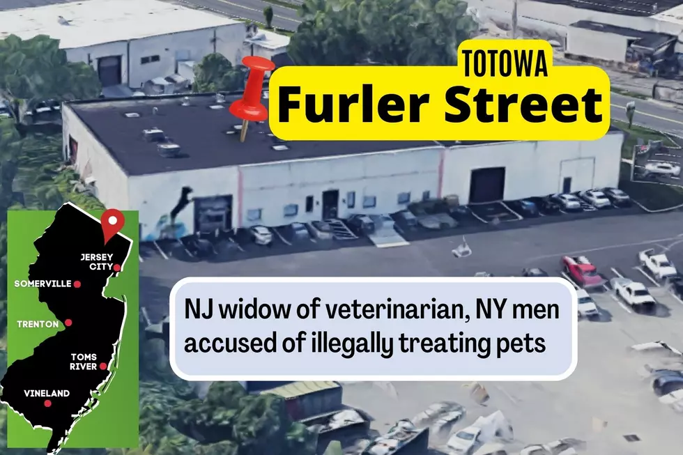 Totowa Animal Hospital widow, men charges (Google Maps, Townsquare Media)