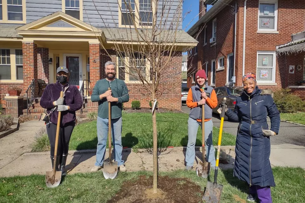 Newark tree planting (Photo Credit: NJ Tree Foundation in Forest Hill)