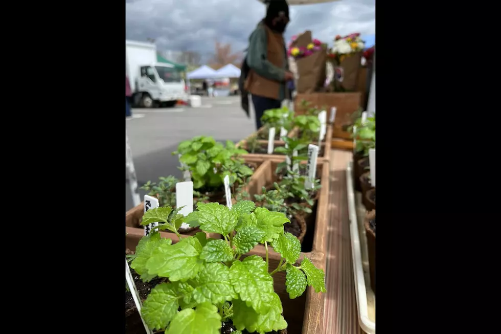 West Windsor Farmers' Market