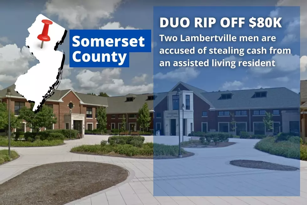 Bridgwater police - duo accused of stealing