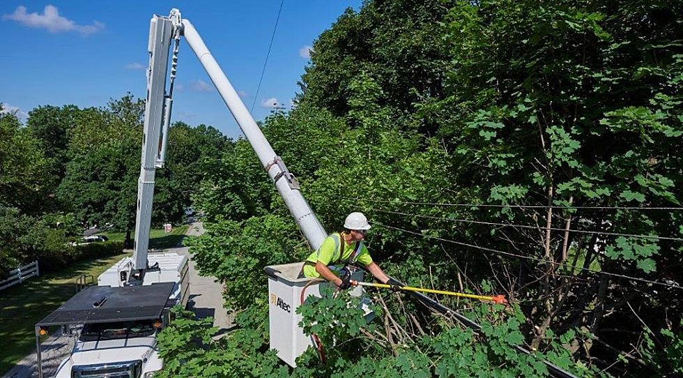 NJ utility might be coming to your street to trim trees