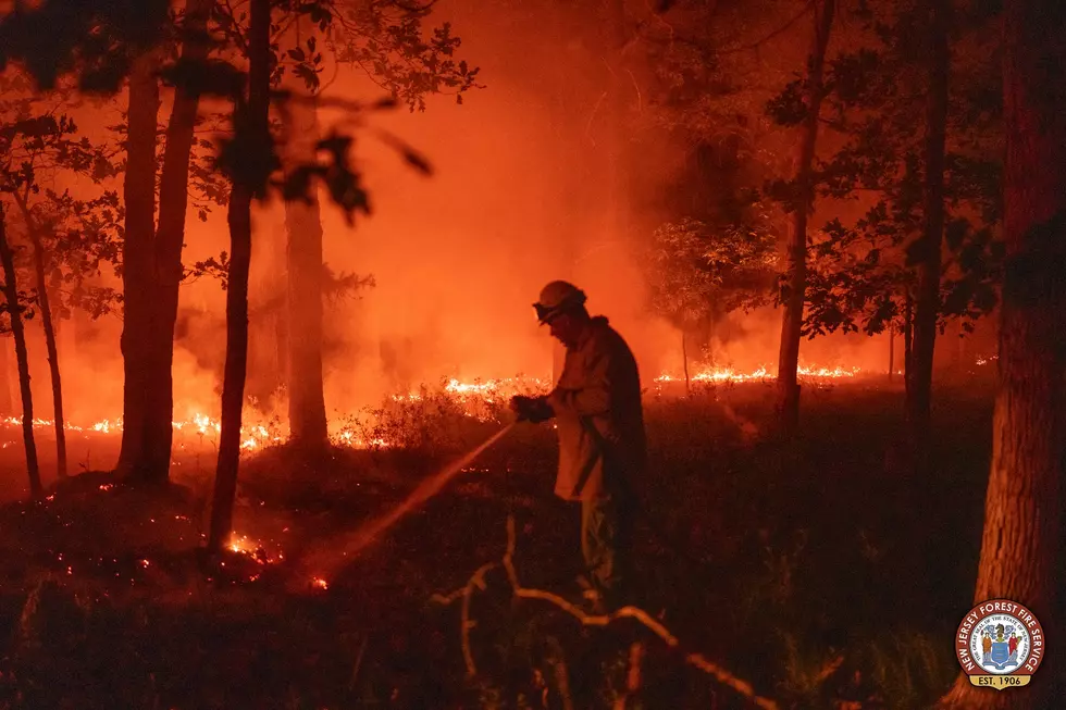Flatiron wildfire (New Jersey Forest Fire Service)