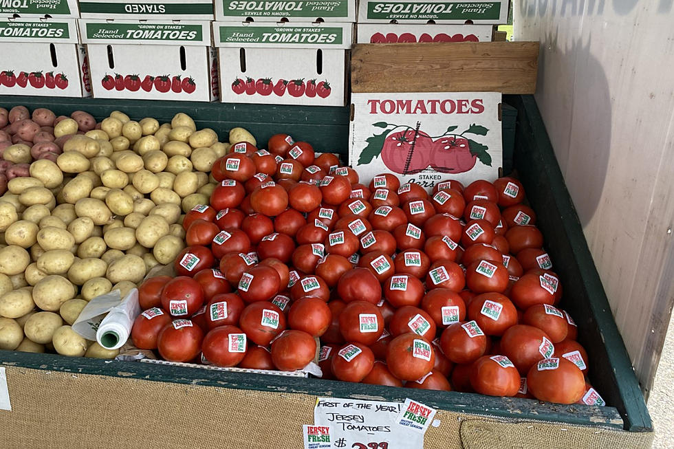 New Jersey tomatoes are almost here