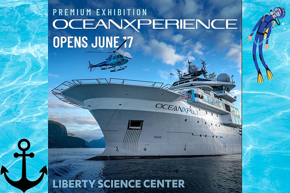 Liberty Science Center&#8217;s new ocean experience now open in NJ
