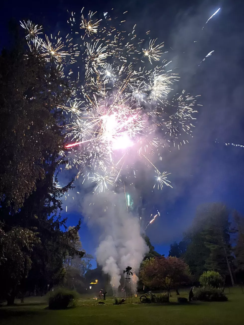 Fireworks in a field, dark sky, multiple fireworks going off