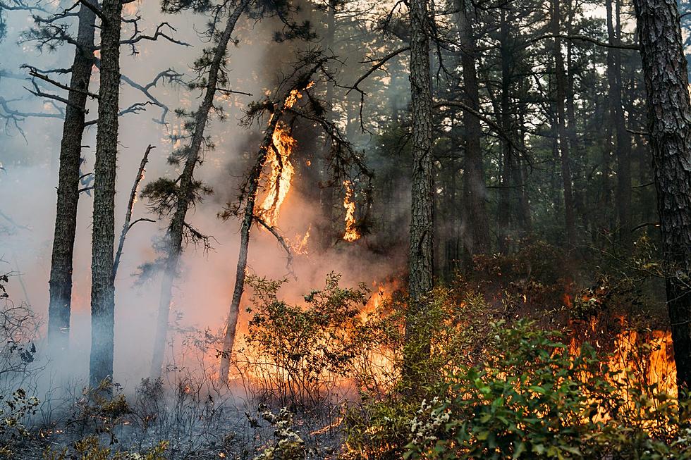 Another Burlington County wildfire contained