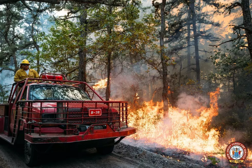 Acorn Hill Wildfire in Woodland Township