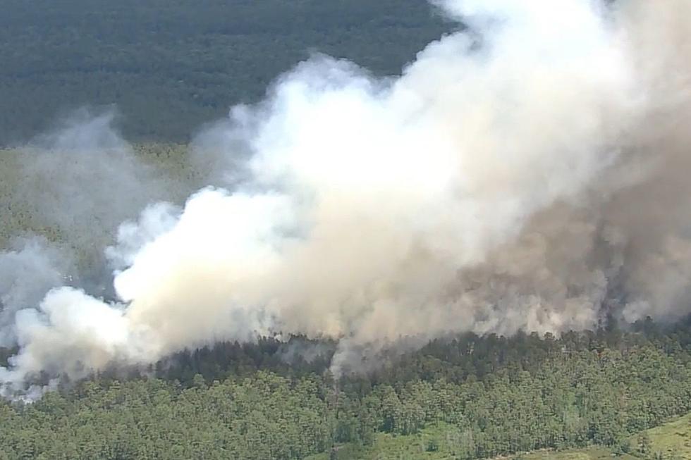 NJ's on Fire: Wildfire Sparks Again in Burlington County