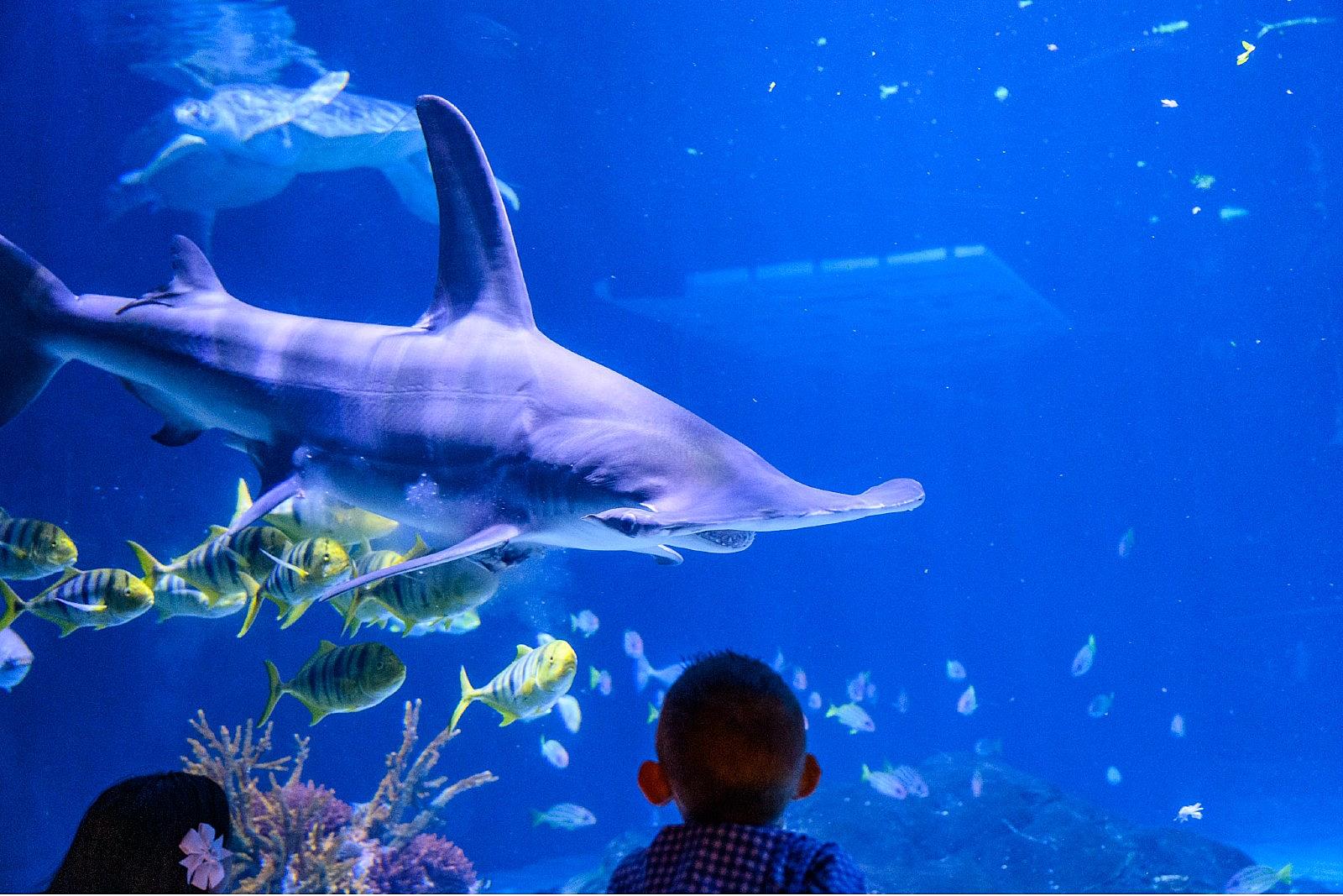 This NJ aquarium was named one of the best in the country