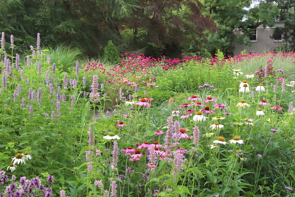 One of the best kept secrets in NJ is a sanctuary of stunning gardens
