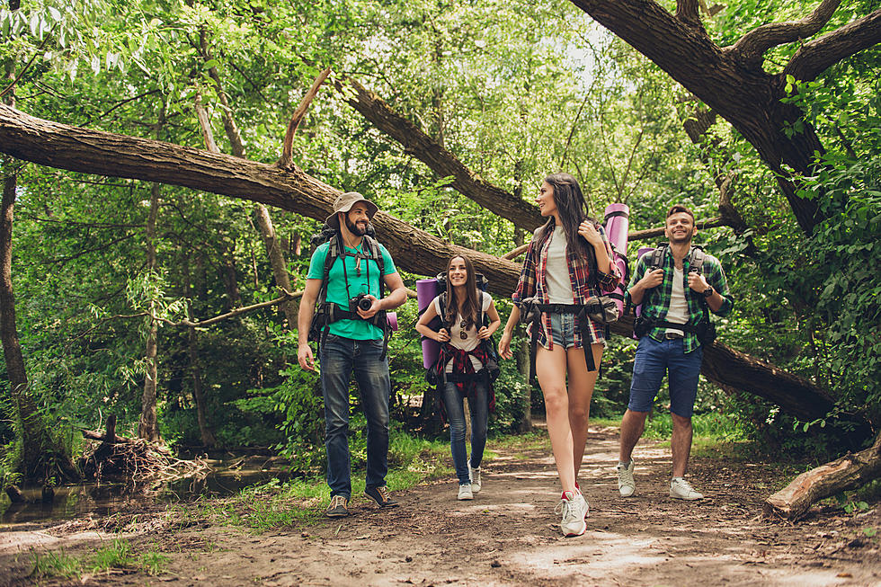 Grown Up Camp is back in Bordentown, NJ