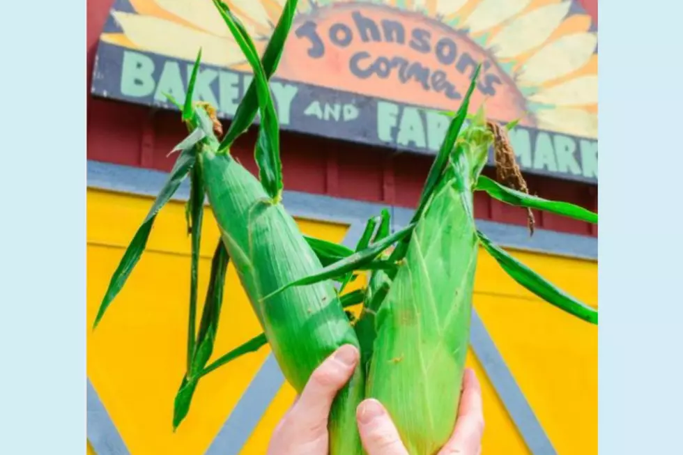 Johnson's Corner Farm in Medford (Instagram)