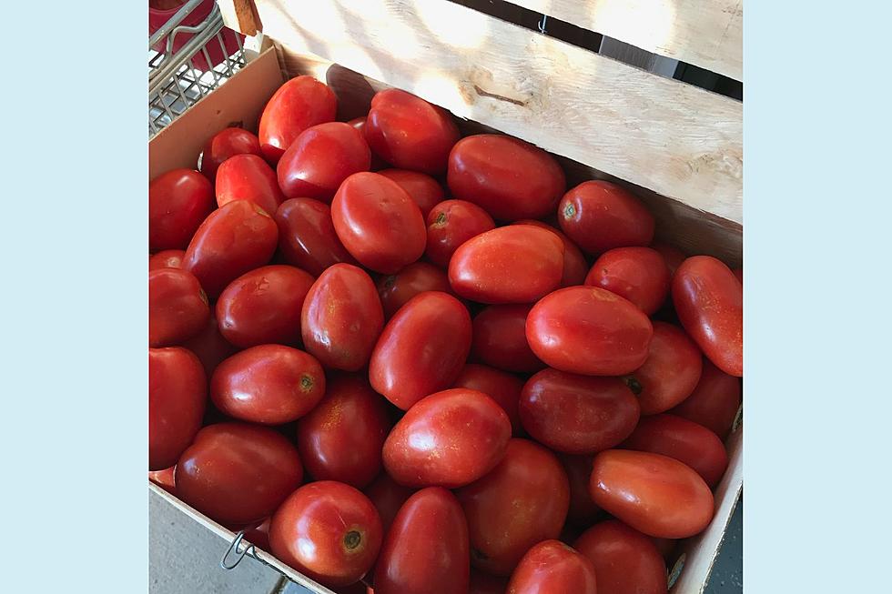 Demand for Jersey tomatoes is high and this season looks good, NJ farmers say
