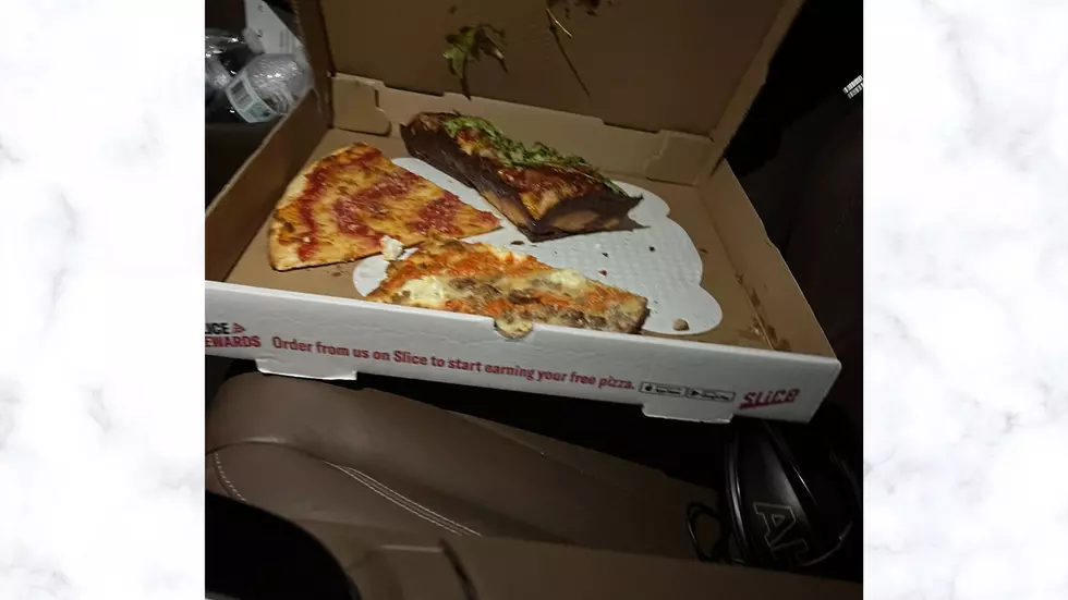 Jersey Pizza Boys (Bill Spadea)