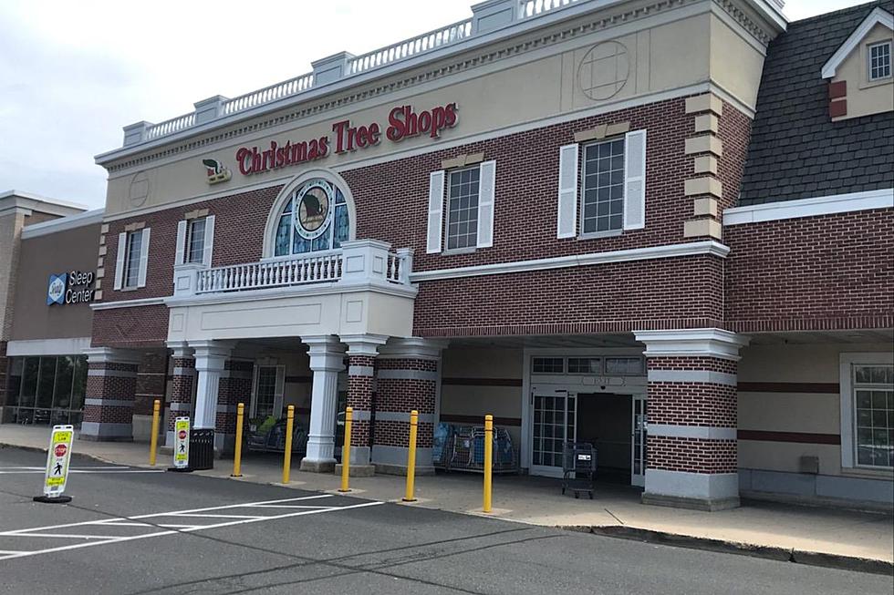 All Christmas Tree Shops in NJ to Close