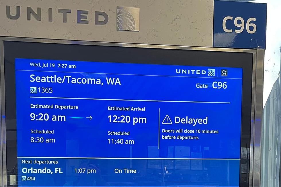 Congressman, United take steps about flight delays at Newark