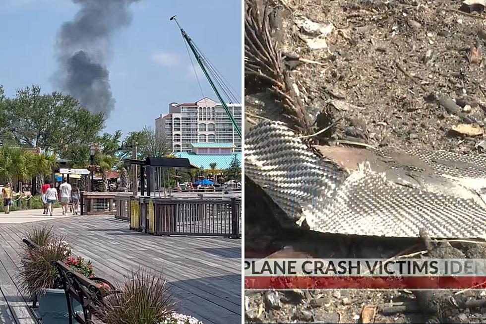 5 from NJ die in South Carolina plane crash