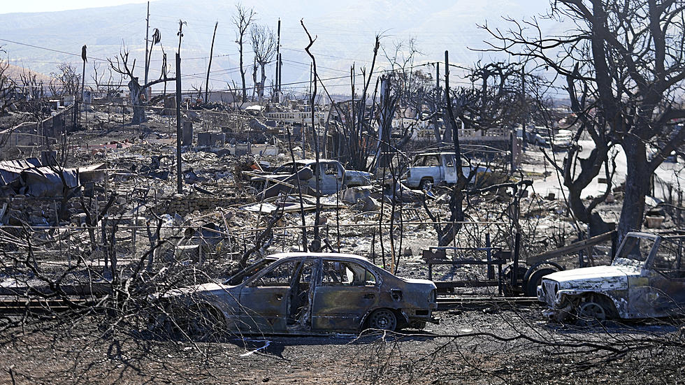 NJ volunteers are in Hawaii to help with wildfire recovery