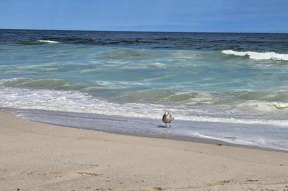 NJ beach weather and waves: Jersey Shore Report for Mon 8/28