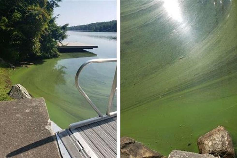 NJ seeing more harmful algal blooms, and they&#8217;re hanging around longer