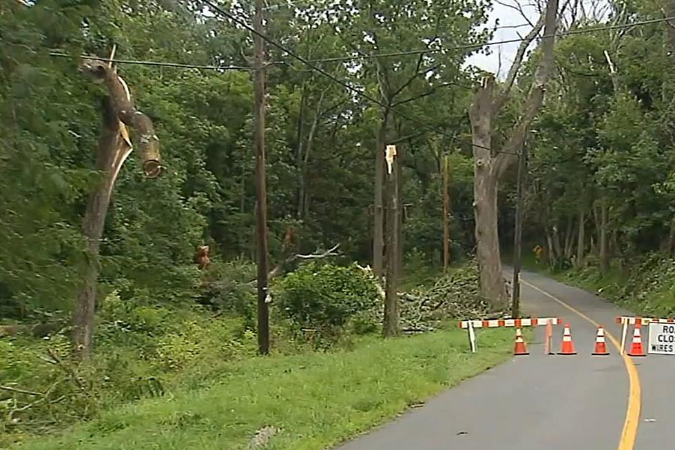 Thunderstorm did spawn tornado in New Jersey after all