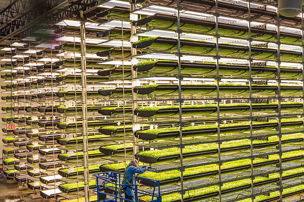 Tragic end to a promising futuristic vertical farm company in NJ