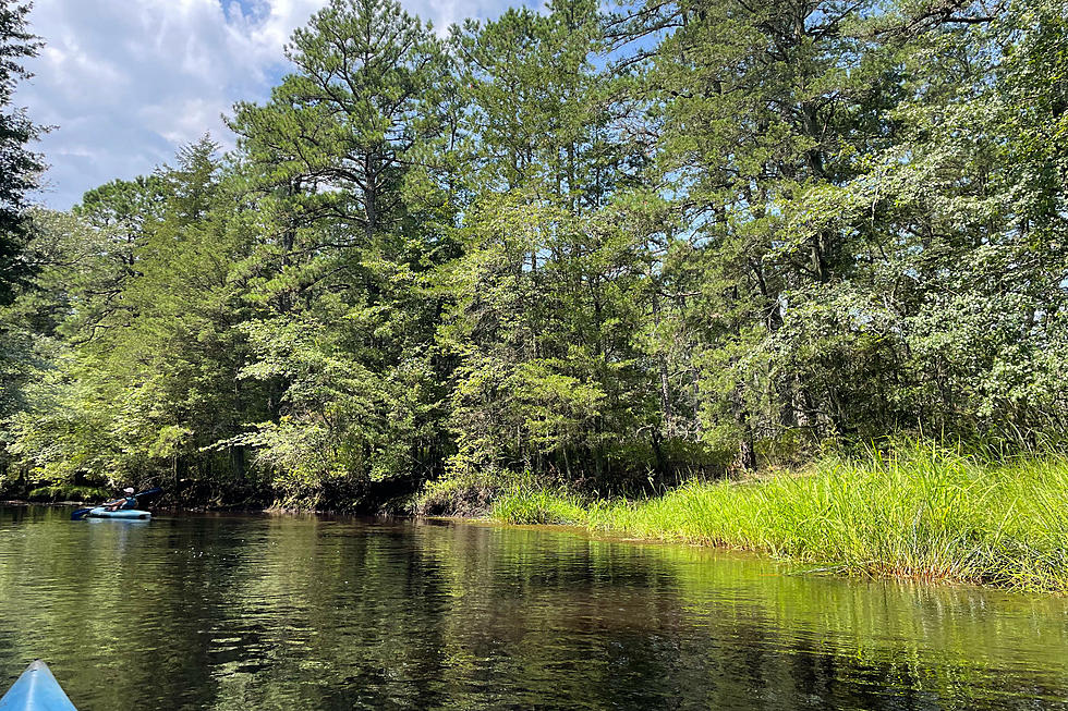 A true South Jersey hidden gem: Rowing through the Pinelands