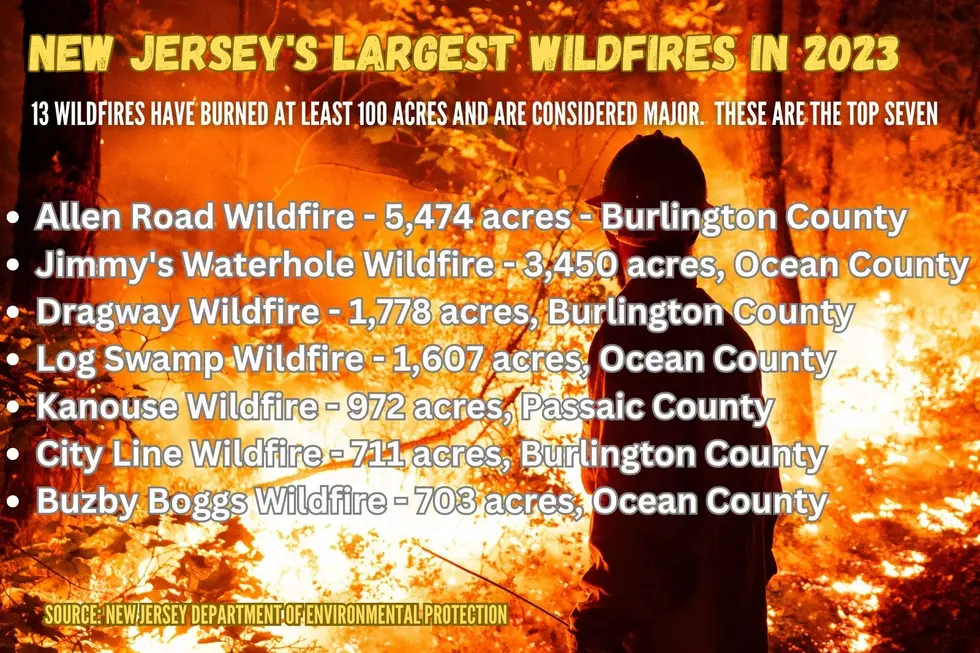 New Jersey's major wildfires in 2023