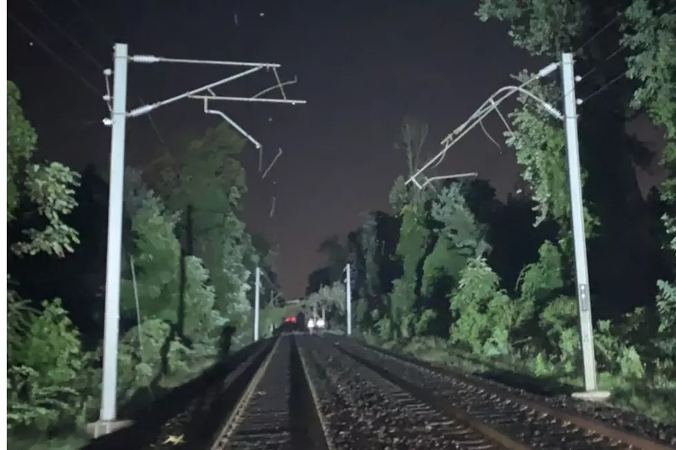 Catenary wire along NJ Transit's North Jersey Coast Line in Middletown 8/11/23