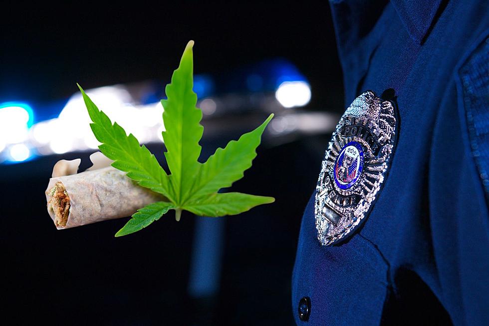 Cops can use weed, NJ commission rules