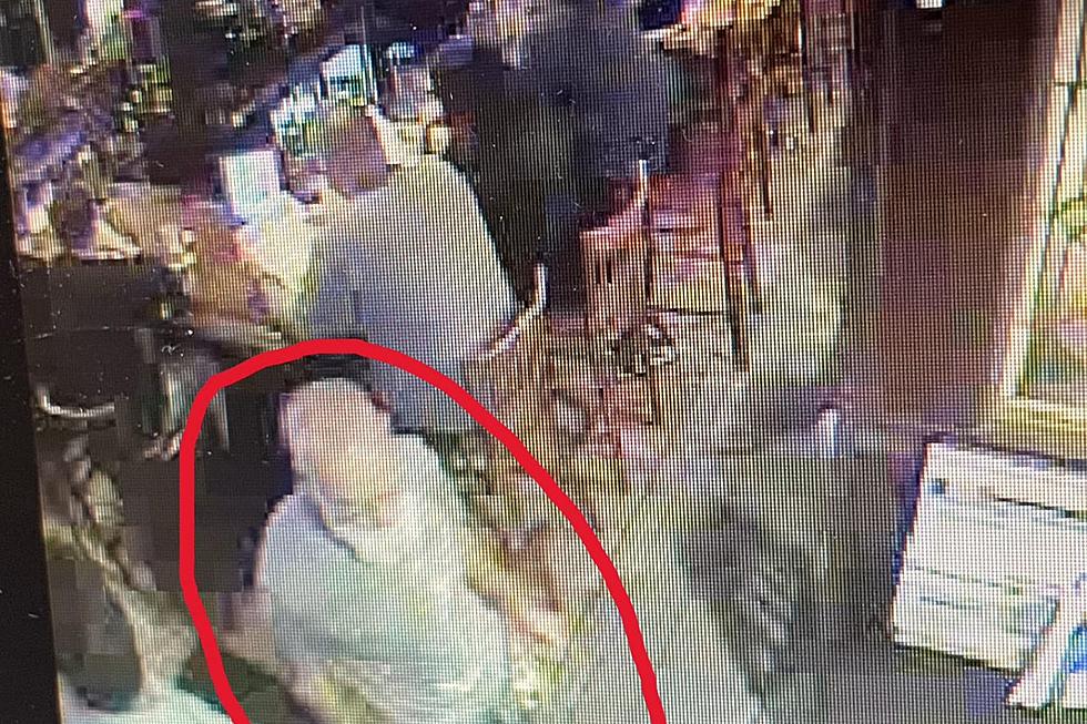 Man threatens to kill everyone with a knife at Clinton, NJ tavern