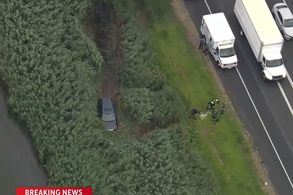 SUV Goes Off NJ Turnpike into Edge of Marsh