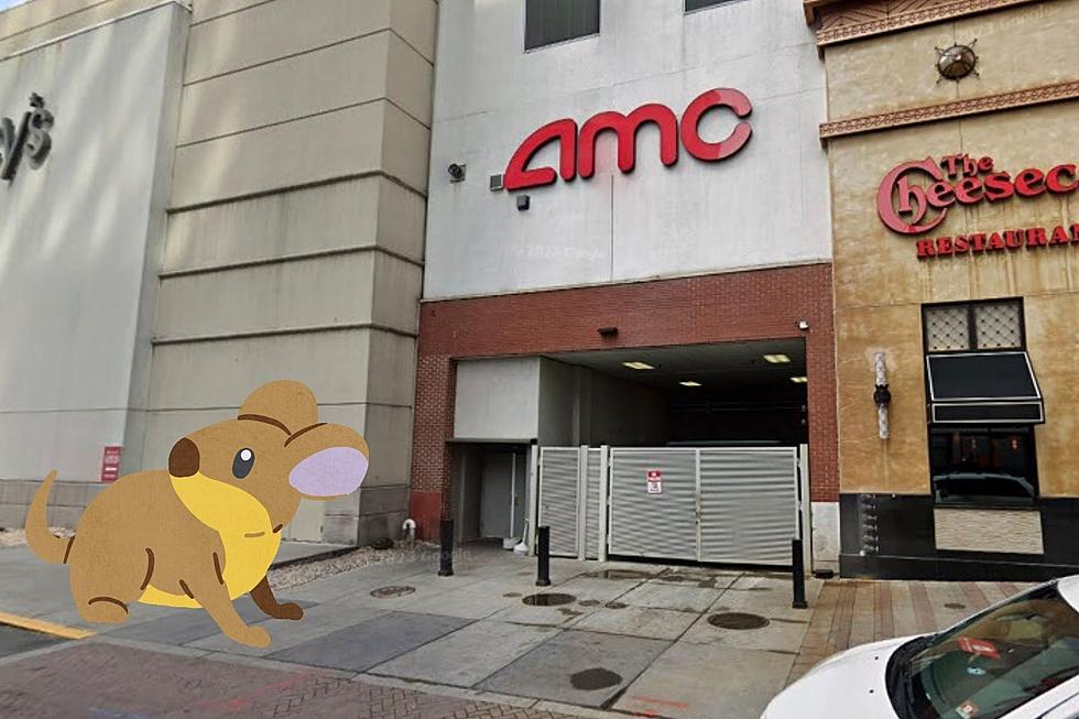 Rats! Major NJ movie theater closed by infestation