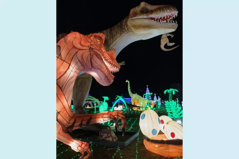 Dino Safari Festival (Rachel Margolin)