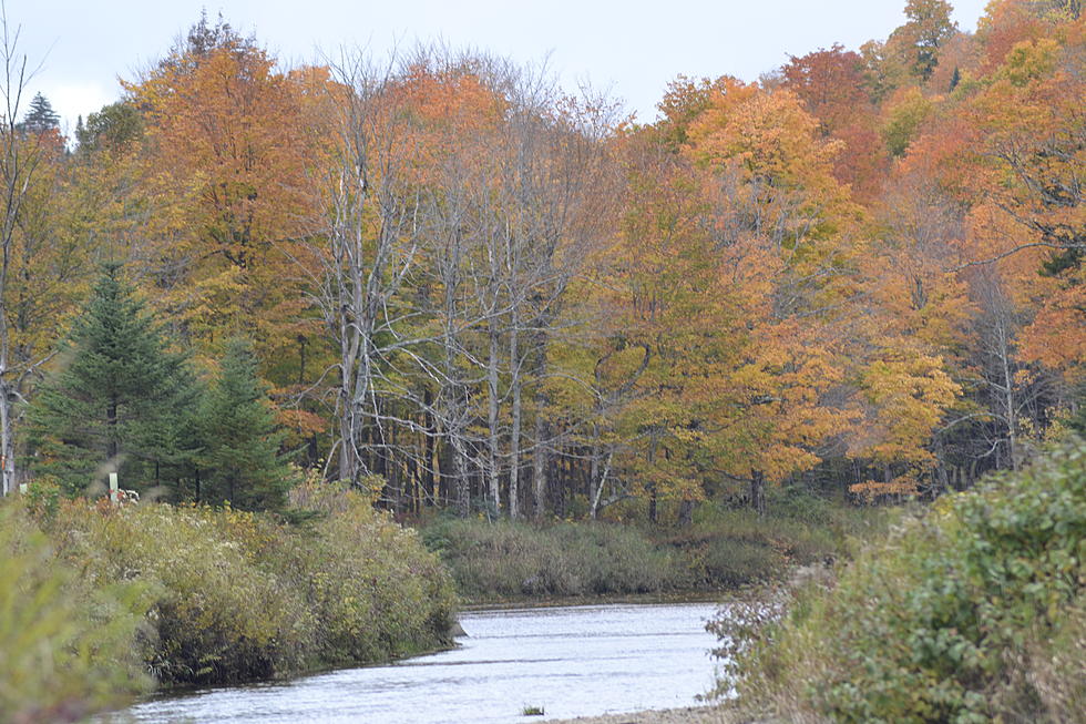 Best places in NJ to see fall foliage