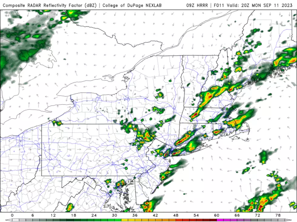 The HRRR model forecast as of 4 p.m. Monday shows scattered thunderstorms and downpours developing over New Jersey once again. (College of DuPage Meteorology)