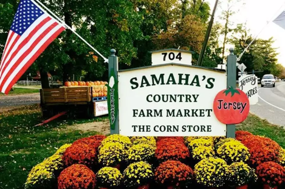 (Samaha's Farm in Aberdeen) Fall fun 2023