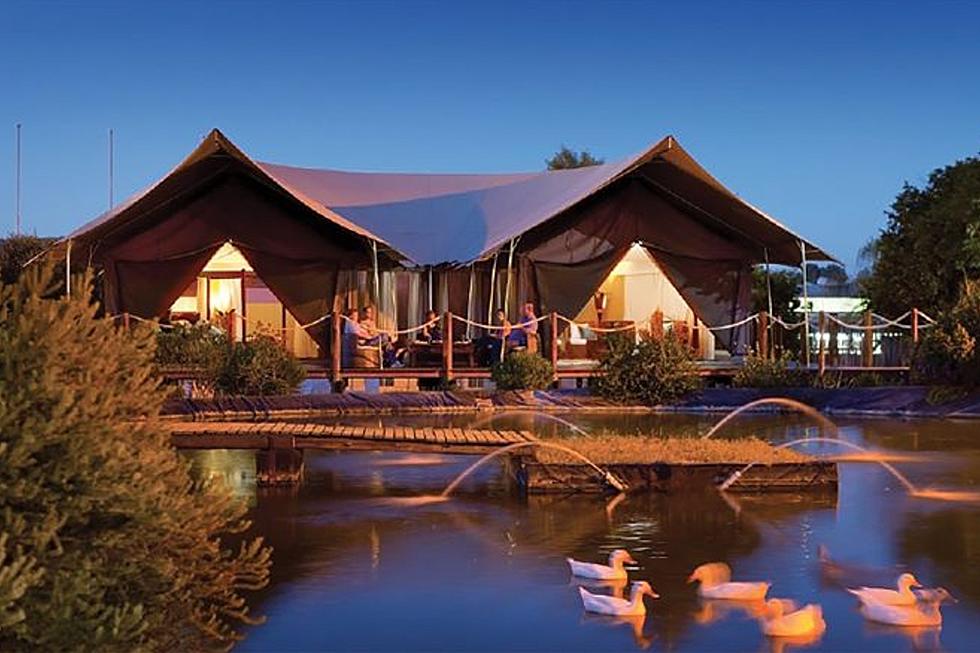 Safari glamping among the animals is coming to Six Flags