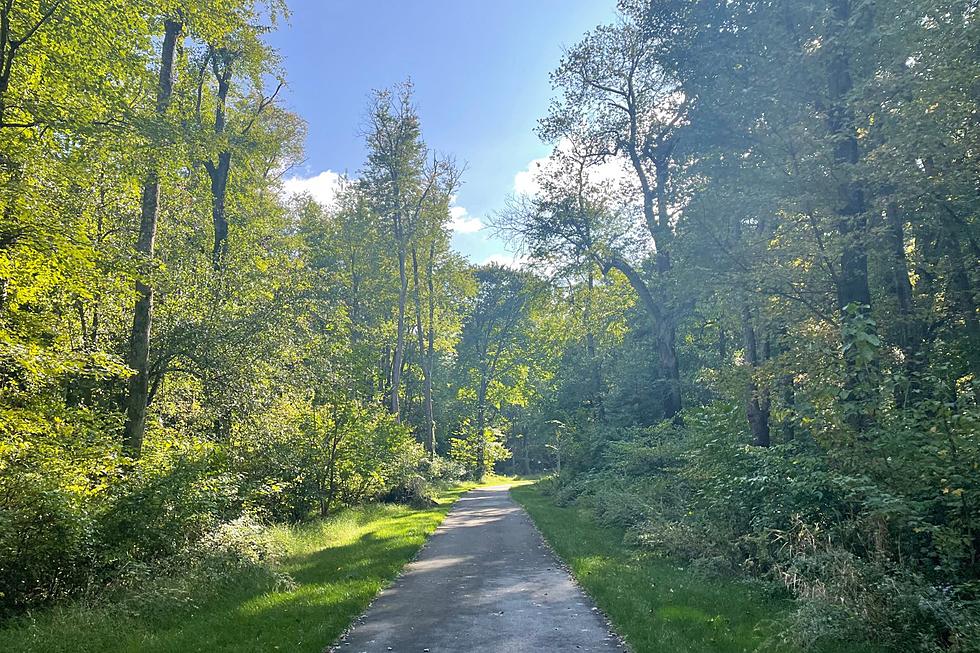 This NJ walking trail is great for seeing fall foliage