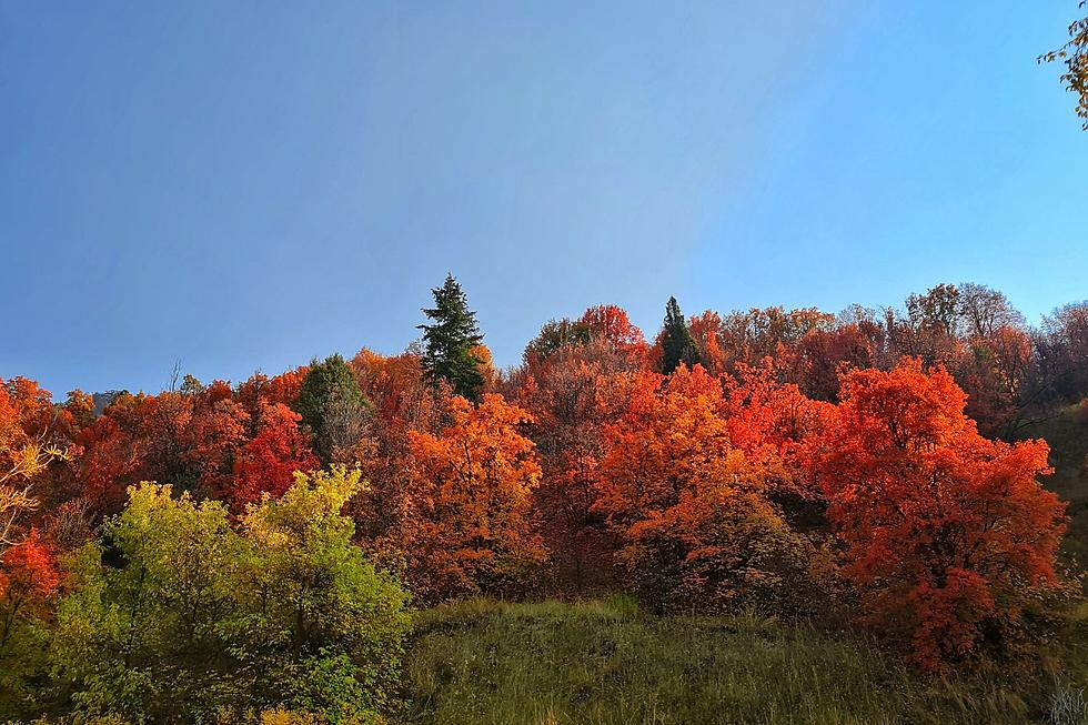 Here’s the best place in NJ to see fall foliage colors